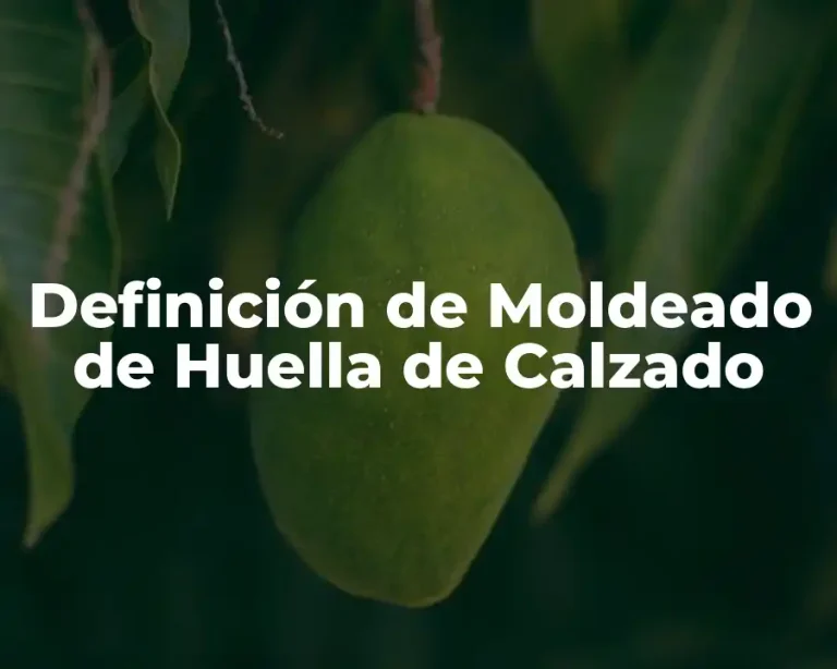 Definición de Moldeado de Huella de Calzado