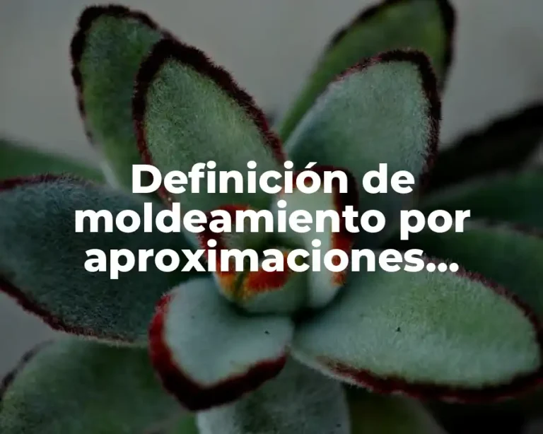 Definición de moldeamiento por aproximaciones sucesivas