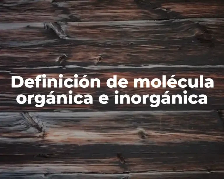 Definición de molécula orgánica e inorgánica