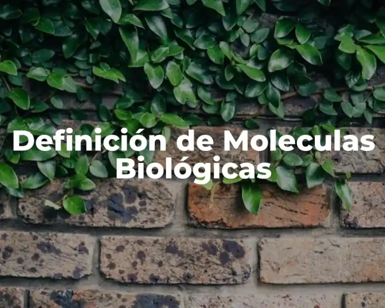 Definición de Moleculas Biológicas
