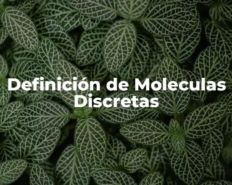 Definición de Moleculas Discretas