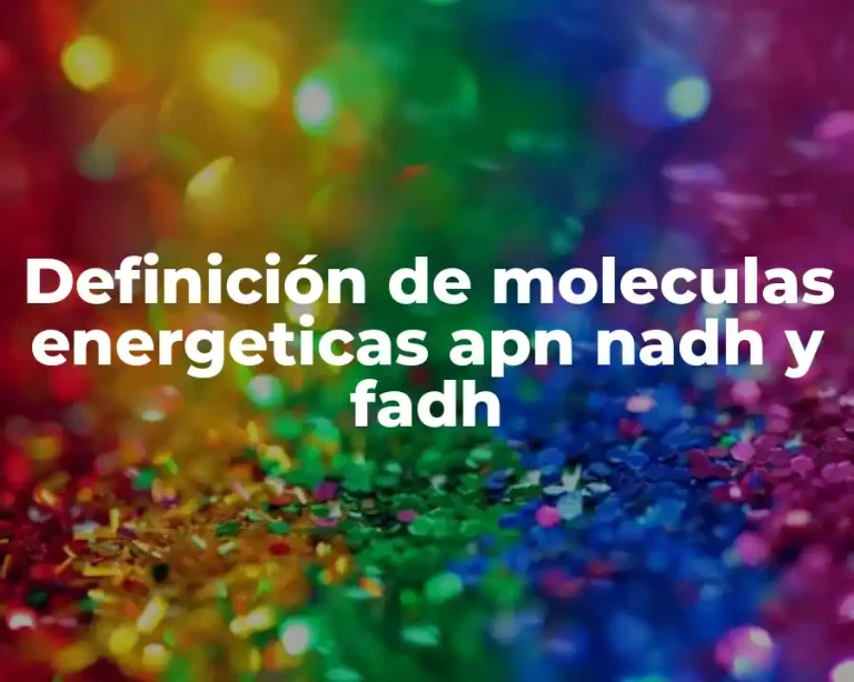 Definición de moleculas energeticas apn nadh y fadh