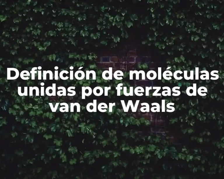 Definición de moléculas unidas por fuerzas de van der Waals