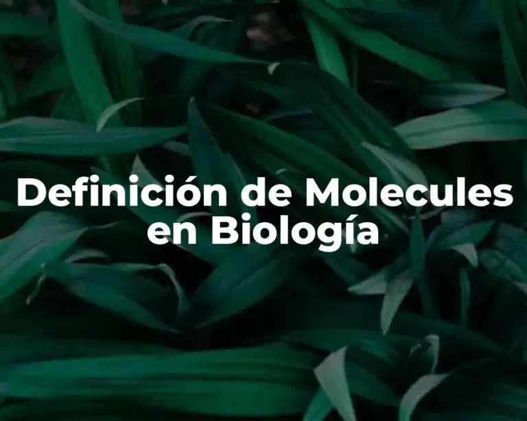 Definición de Molecules en Biología