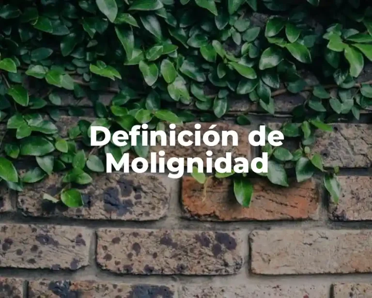 Definición de Molignidad
