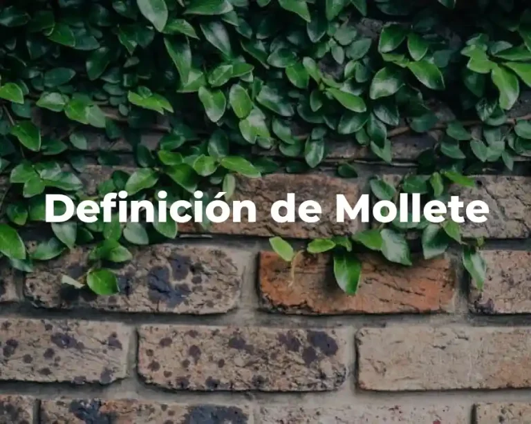 Definición de Mollete