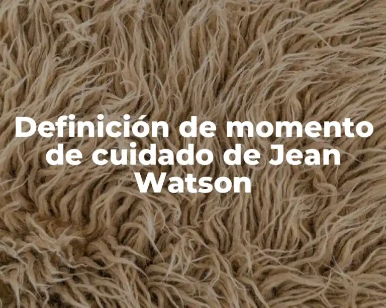 Definición de momento de cuidado de Jean Watson