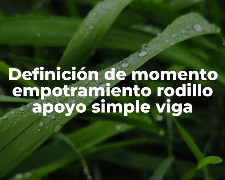 Definición de momento empotramiento rodillo apoyo simple viga