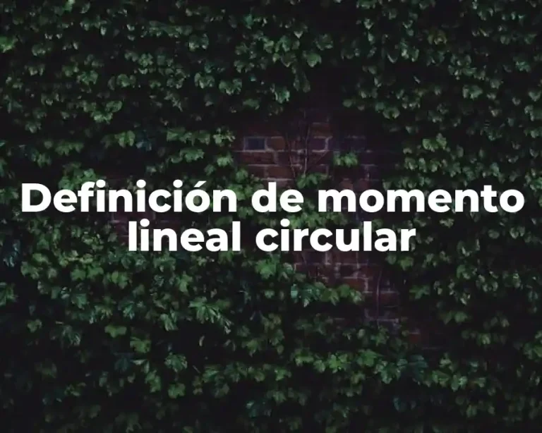 Definición de momento lineal circular