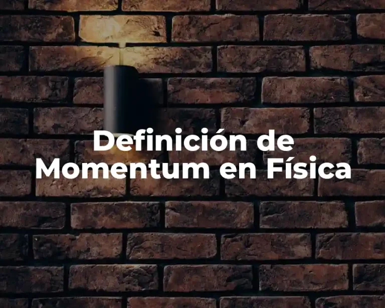 Definición de Momentum en Física