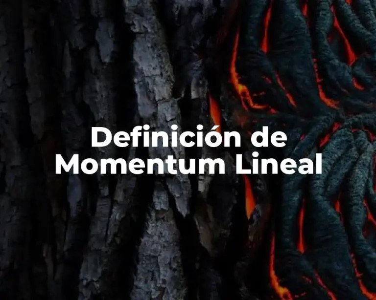 Definición de Momentum Lineal