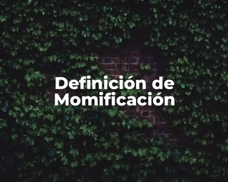Definición de Momificación