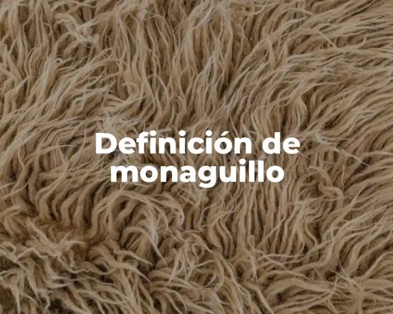Definición de monaguillo