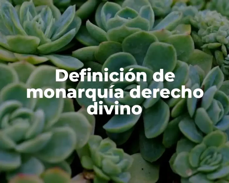 Definición de monarquía derecho divino