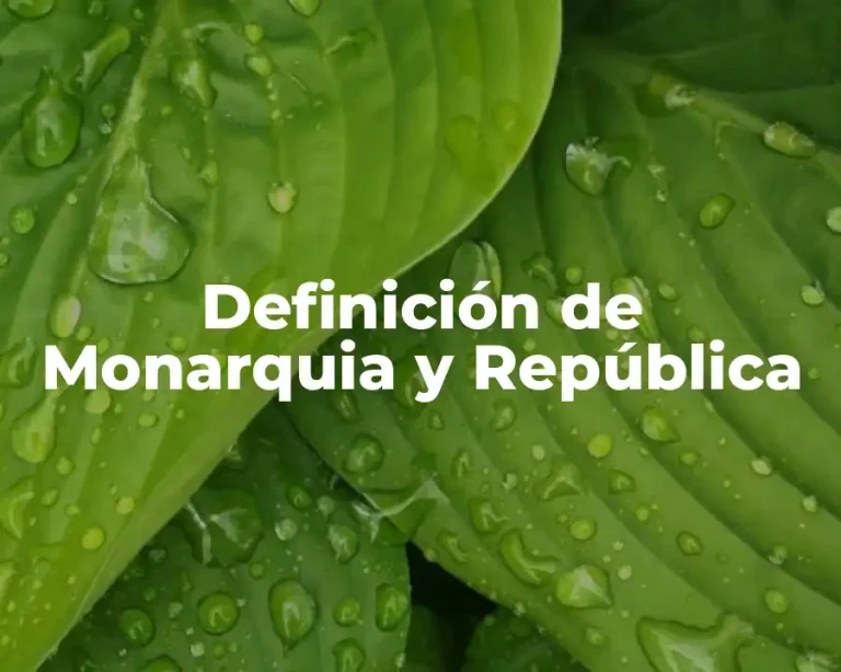 Definición de Monarquia y República