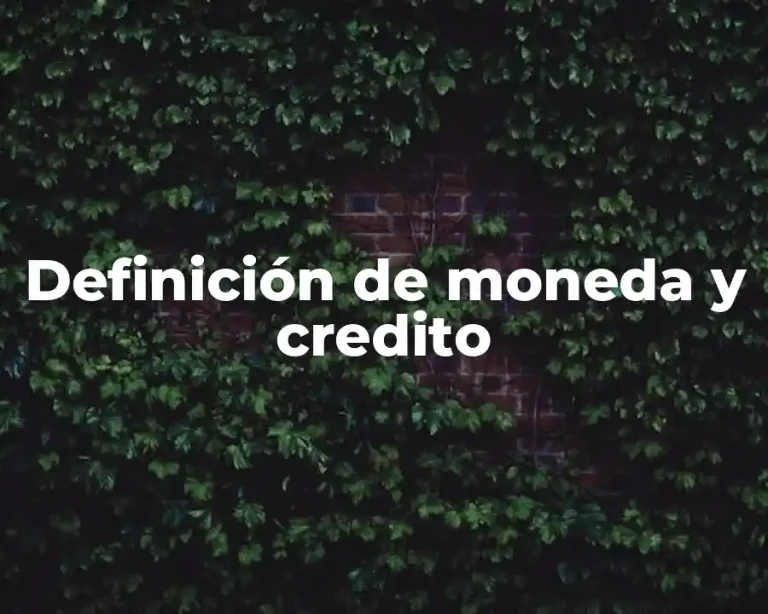 Definición de moneda y credito