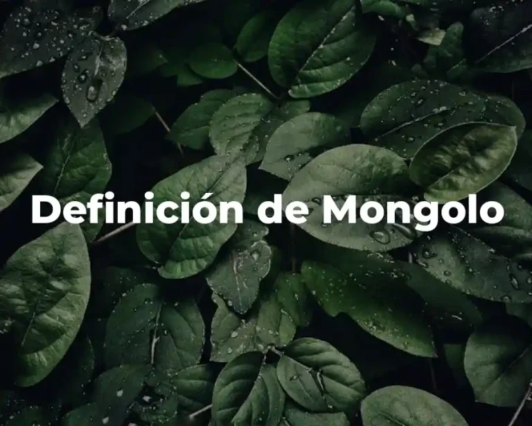 Definición de Mongolo