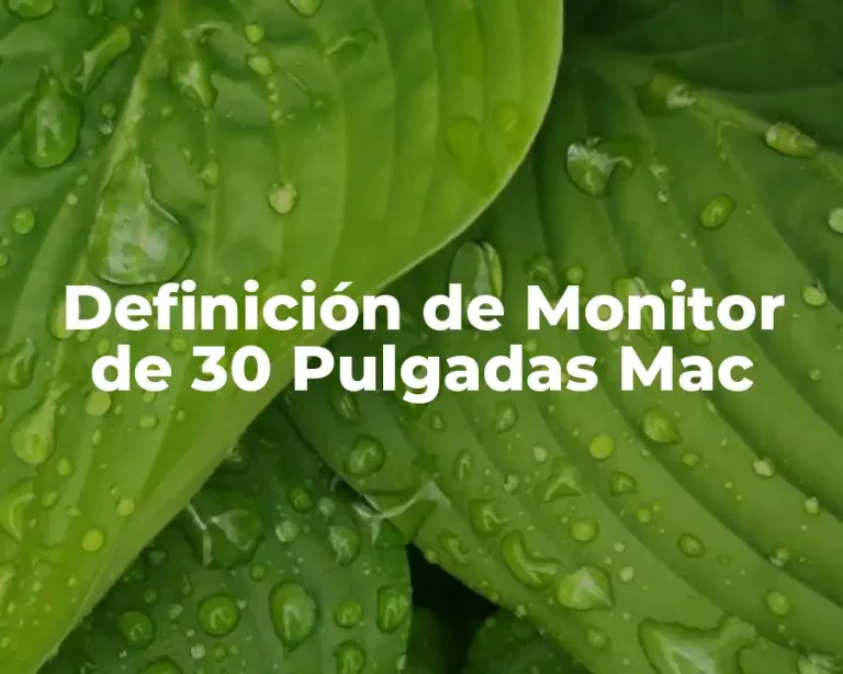 Definición de Monitor de 30 Pulgadas Mac
