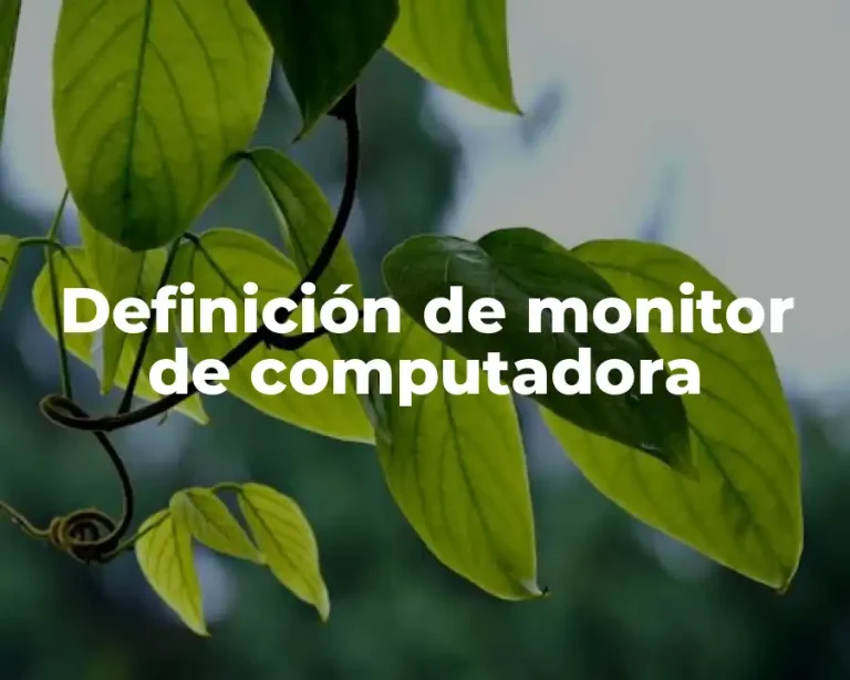 Definición de monitor de computadora