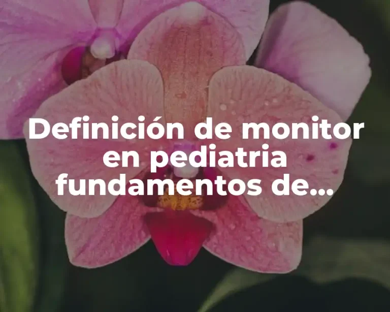 Definición de monitor en pediatria fundamentos de enfermeria