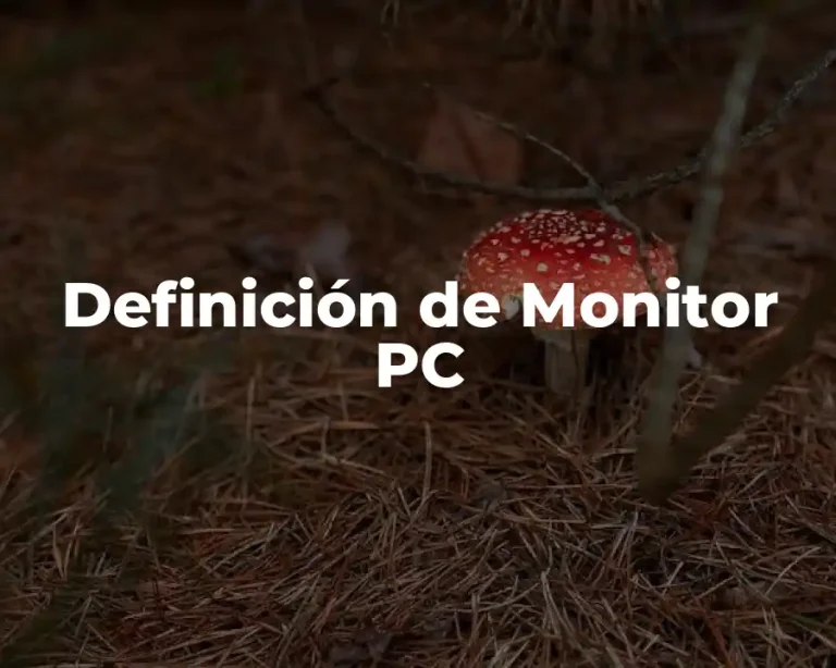 Definición de Monitor PC