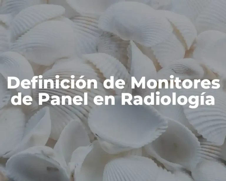 Definición de Monitores de Panel en Radiología