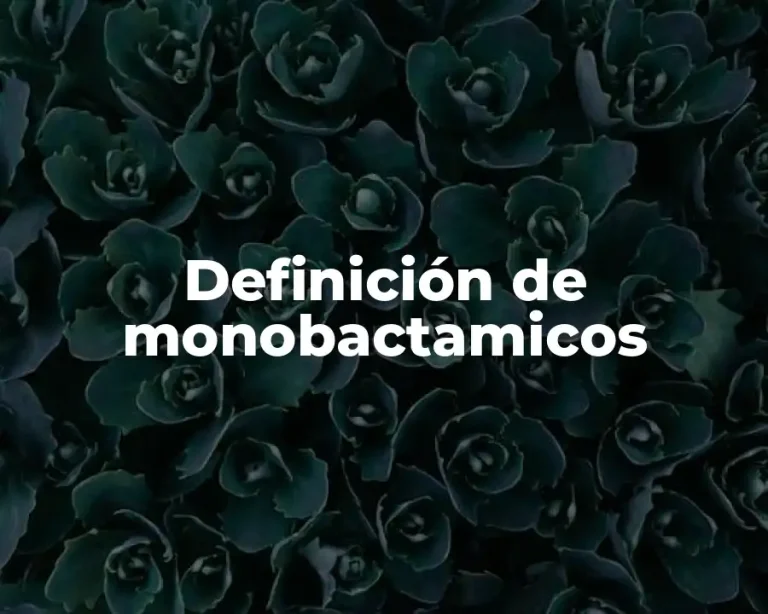 Definición de monobactamicos