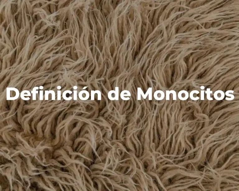 Definición de Monocitos