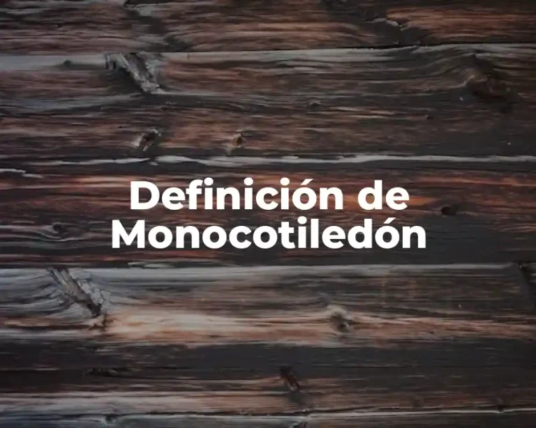 Definición de Monocotiledón