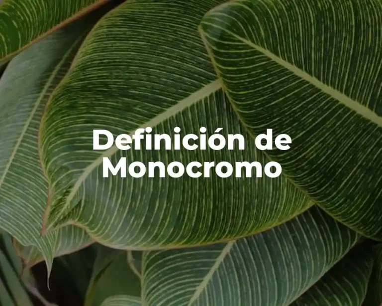 Definición de Monocromo