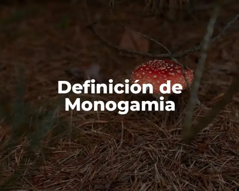 Definición de Monogamia