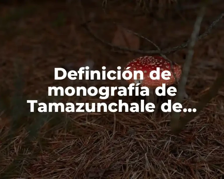 Definición de monografía de Tamazunchale de especto social y cultural