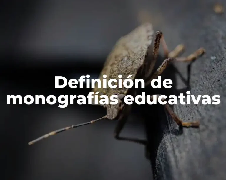 Definición de monografías educativas