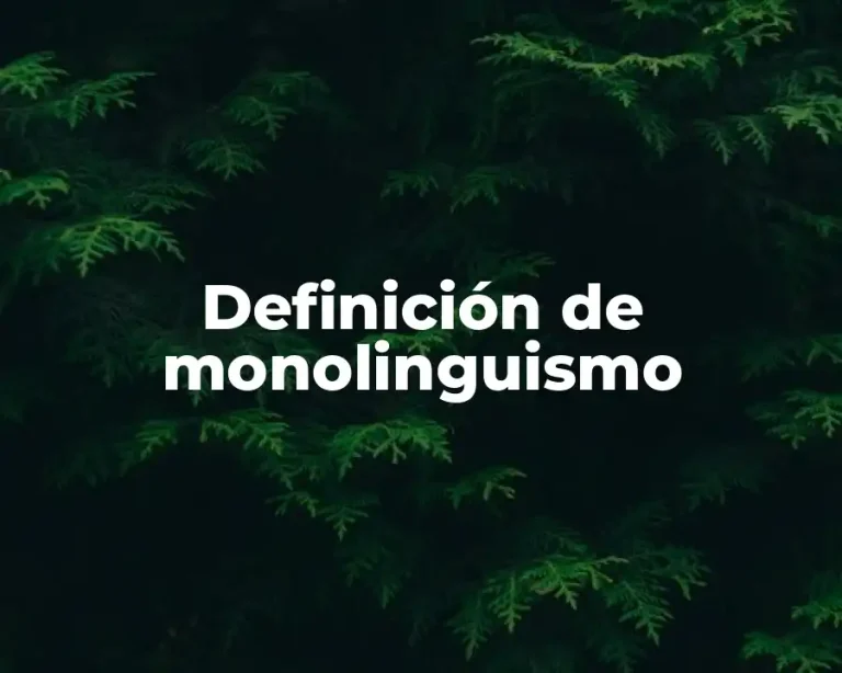 Definición de monolinguismo