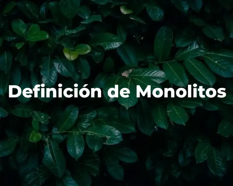 Definición de Monolitos