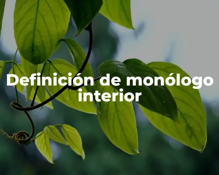 Definición de monólogo interior