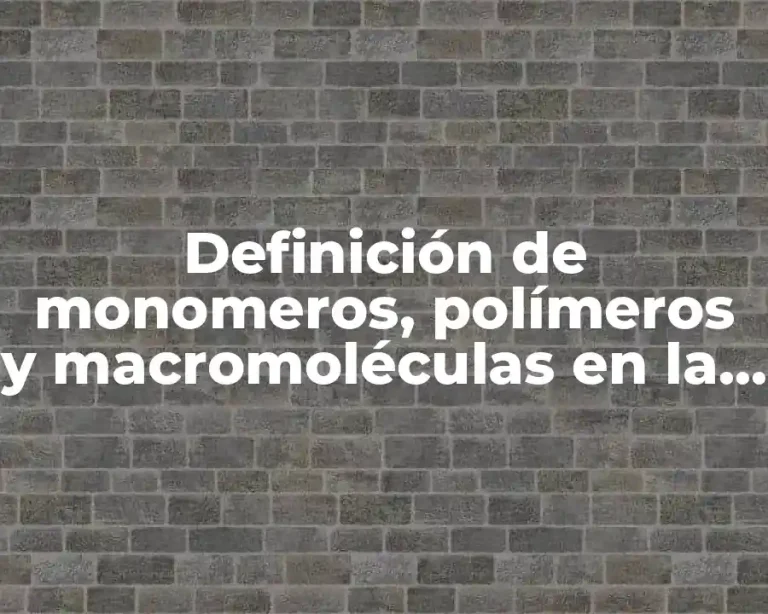 Definición de monomeros, polímeros y macromoléculas en la vida cotidiana