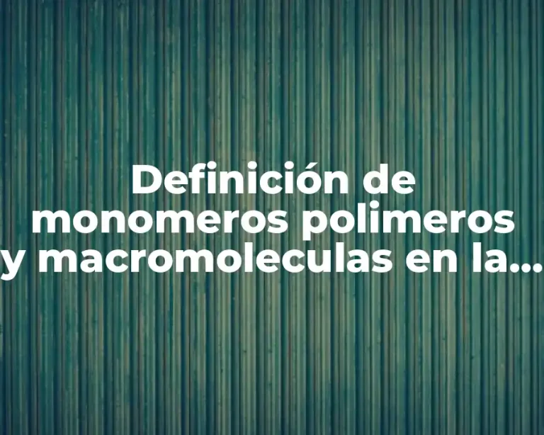 Definición de monomeros polimeros y macromoleculas en la vida cotidiana