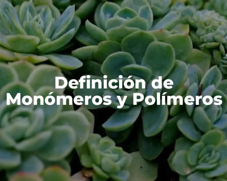 Definición de Monómeros y Polímeros