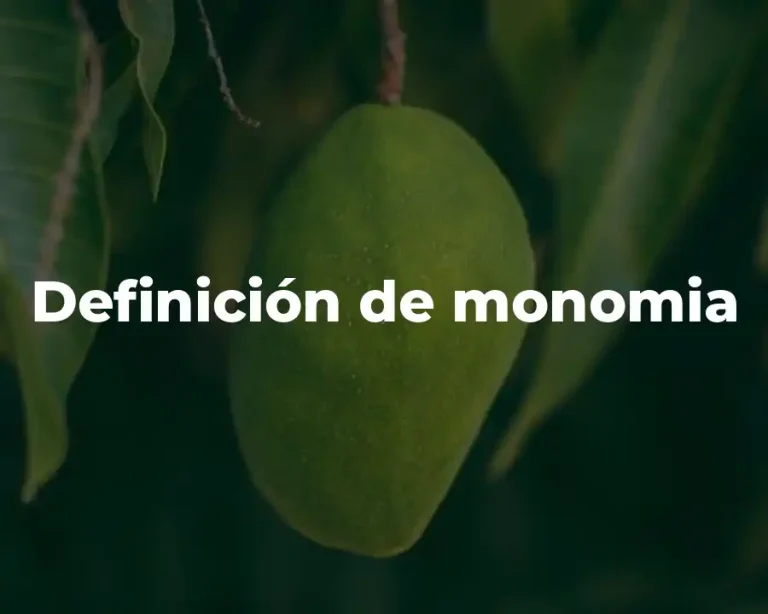 Definición de monomia