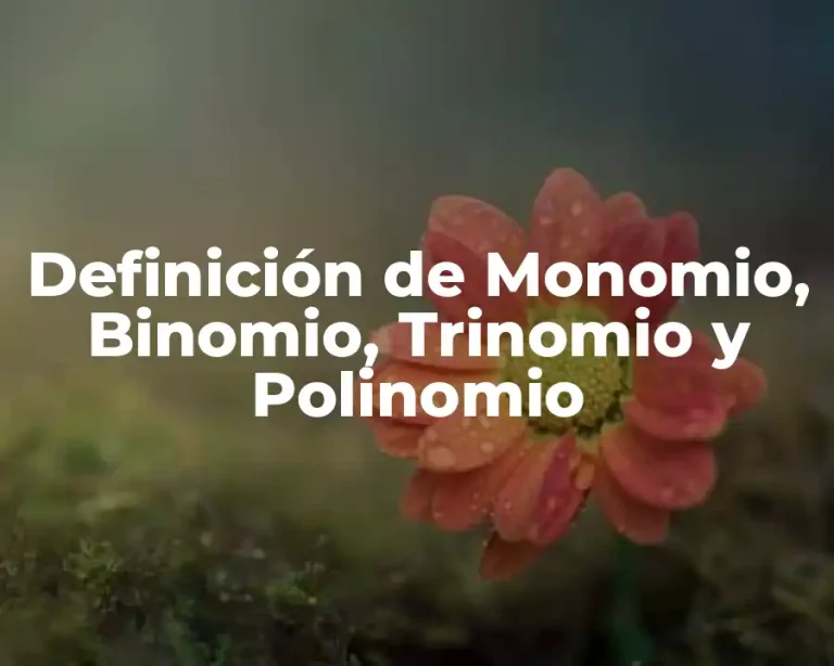 Definición de Monomio, Binomio, Trinomio y Polinomio