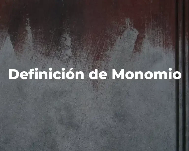 Definición de Monomio