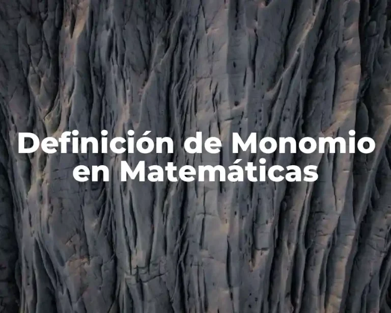 Definición de Monomio en Matemáticas