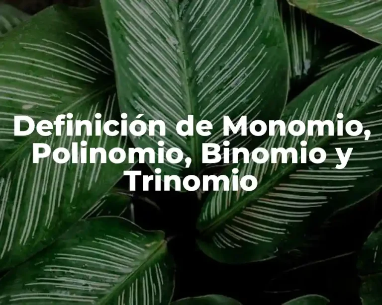 Definición de Monomio, Polinomio, Binomio y Trinomio
