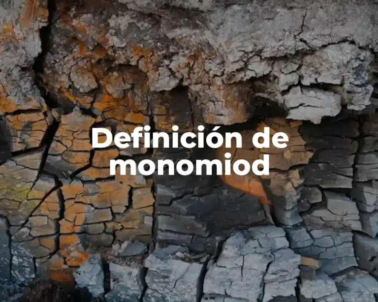 Definición de monomiod