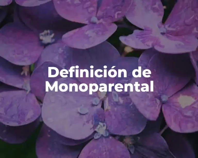 Definición de Monoparental