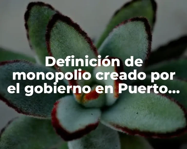 Definición de monopolio creado por el gobierno en Puerto Rico
