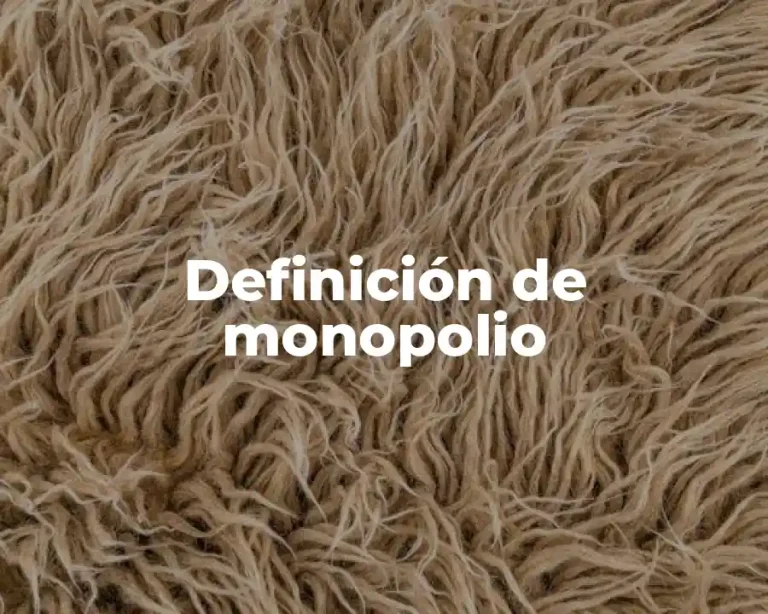 Definición de monopolio