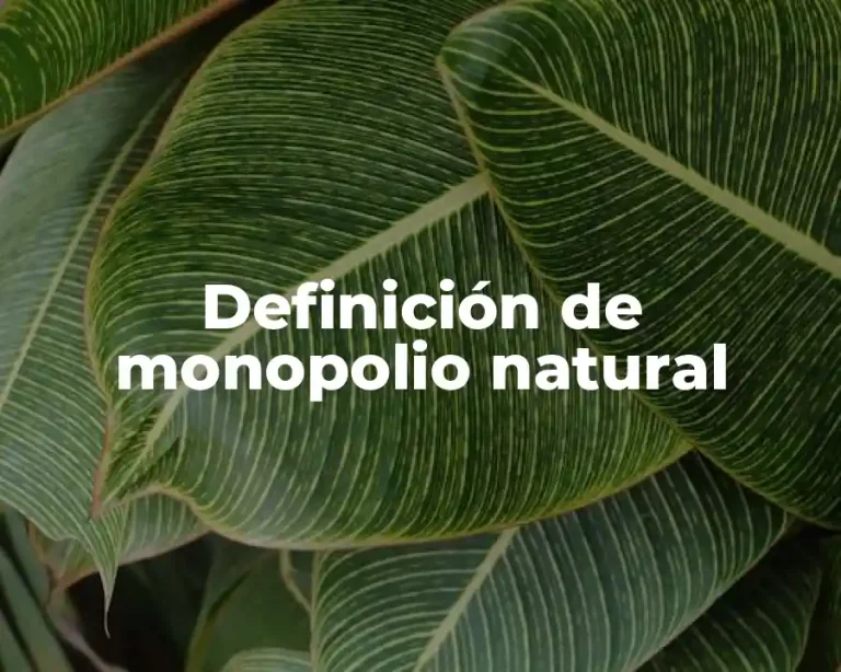 Definición de monopolio natural