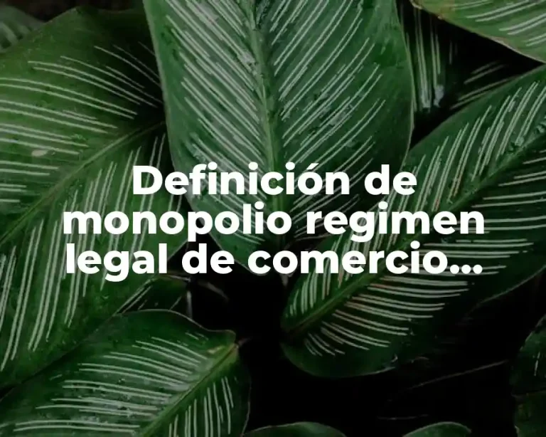 Definición de monopolio regimen legal de comercio exterior